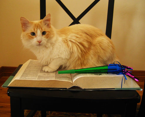 Rupert and the Dictionary